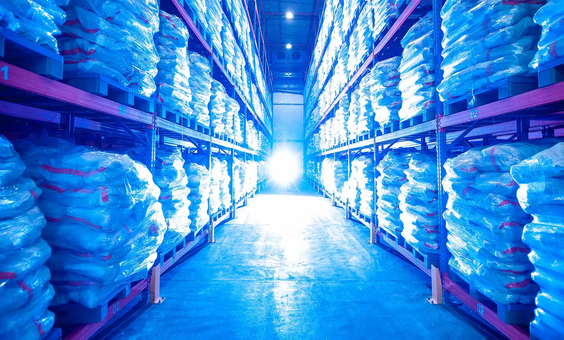 lorem ipsum dolor sit