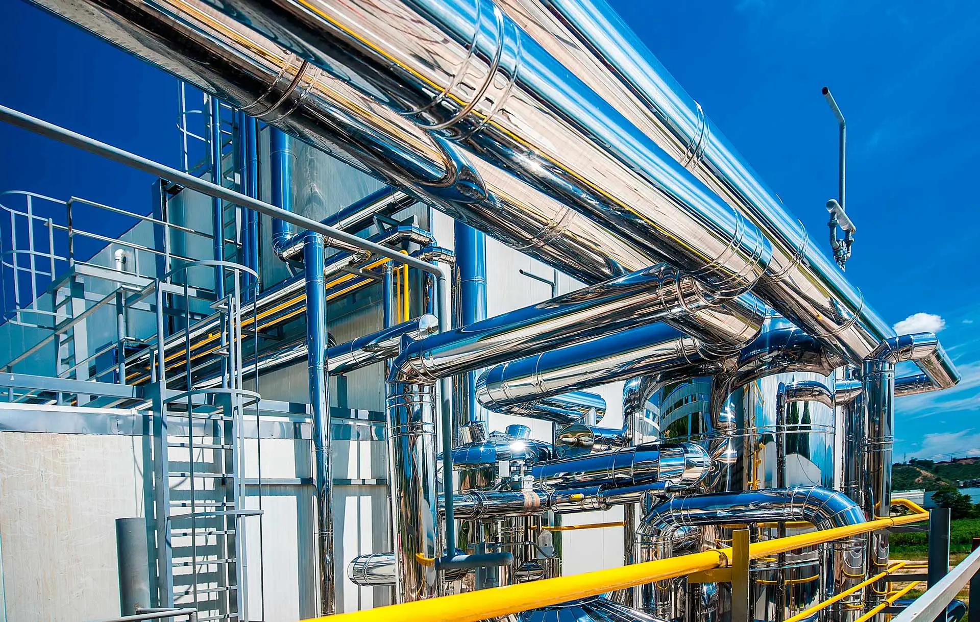 lorem ipsum dolor sit