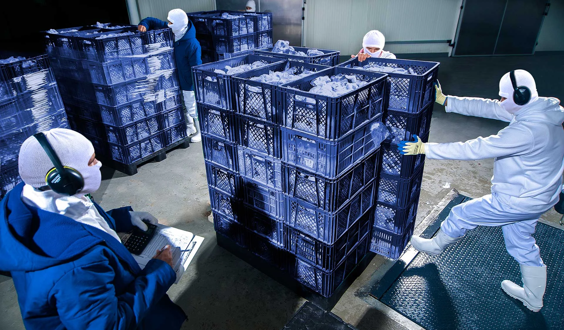 lorem ipsum dolor sit