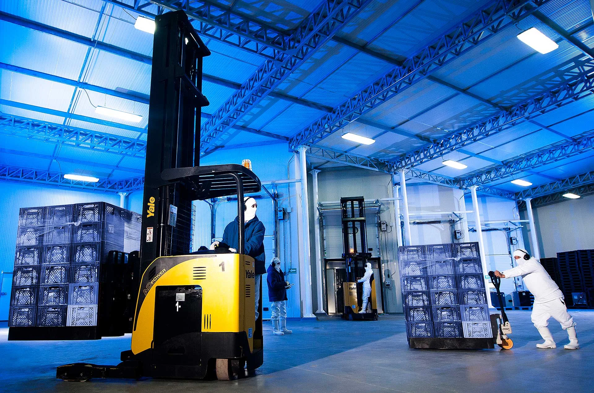 lorem ipsum dolor sit